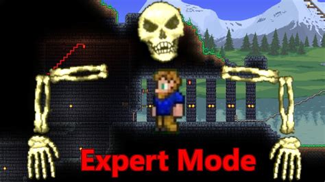 Old man not appearing after killing skeletron :: Terraria General .